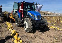 Nevşehir'de çerezlik kabak çekirdeği hasadı başladı