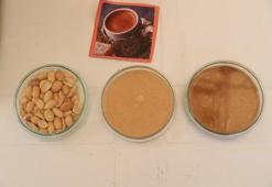 ‘TÜBİTAK 4007 Bağcılar Bilim Şenliği’nde öğrenciler yer fıstığından kahve yaptı