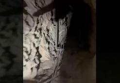 MSB: Pençe-Kilit bölgesinde çok sayıda yaşam ve ilk yardım malzemesi ele geçirildi