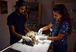 Nesli tehlikedeki yaralı puhuya özel tedavi