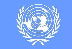 BM'den acil ateşkes çağrısı