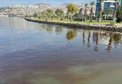 'İzmir Körfezi'ndeki kirlilik, sediment yapısını da bozdu'