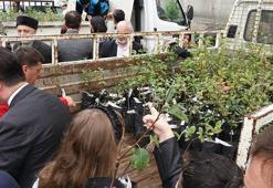 5 bininci Yomra elması fidanı toprakla buluştu