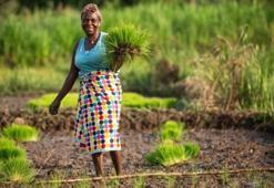 Dünya Bankası: Dünyanın yüzde 8,5'i aşırı yoksulluk içinde yaşıyor
