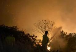 Adana'da Seyhan Baraj Gölü kıyısındaki ağaçlıkta yangın kontrol altında