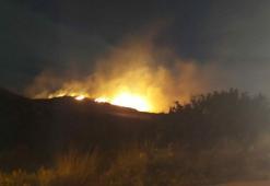 Seferihisar'da orman yangını kontrol altında