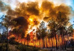 Yangınlara karşı geliştirilen 'Türkiye’nin Canı Yanmasın Destek Programı’nda 3 proje daha tamamlandı