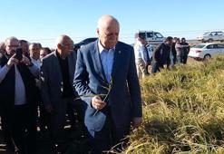 TZOB Genel Başkanı Bayraktar: Biga'da 45 bin dekar alanda zarar görünüyor