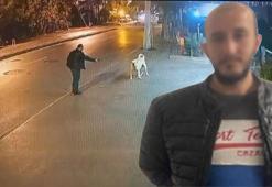 Bahçelievler’de tabanca ile köpeği korkutan şüpheli tutuklandı