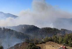 Muğla'nın Menteşe ilçesinde orman yangınına müdahale sürüyor