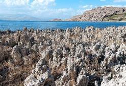 Van Gölü'nde kıyılar, mikrobiyalit tarlasına döndü