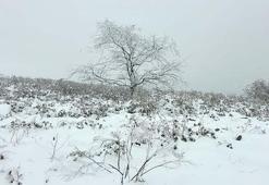 Ordu'nun yüksek kesimlerine kar yağdı