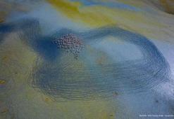 ‘İlk Öğretmenim Doğa’ fotoğraf sergisi 23 Ekim’de açılıyor