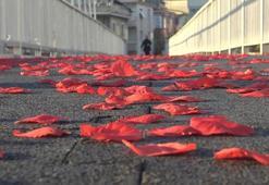 Avcılar'da üst geçitte kırmızı gül yaprakları