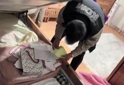 İstanbul merkezli 10 ilde kooperatif dolandırıcılarına operasyon: 48 gözaltı