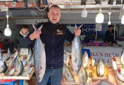 Bandırma'da palamut için denize açılan balıkçılar, binlerce torikle geri döndü