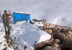 Kar yağışı nedeniyle yaylada hayvanlarıyla mahsur kalan besicileri ekipler kurtardı