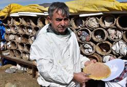 Bitlis’te kara kovan balının hasadı başladı