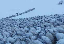 Van'ın İran sınırında, kar kalınlığı 20 santimetreye ulaştı