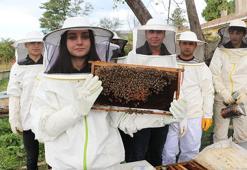 Öğrenciler kendi arılarıyla bal üretiyor