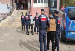 Hayvan hırsızlığına 2 tutuklama