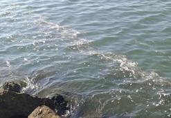 Akdeniz’de ‘köpüklenme’ uyarısı