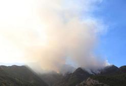 Denizli'de orman yangını 3'üncü gününde