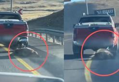 Kayseri'de öldürdüğü domuzu kamyonetinin arkasına bağlayıp sürükledi