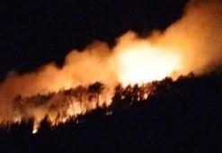 Kütahya'da orman yangını