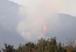 Denizli'de orman yangını 5'inci günde sürüyor