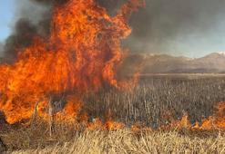 Yüksekova'da Nehil Sazlığı'nda yangın