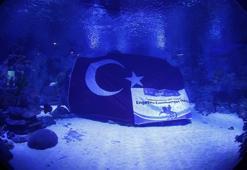 Engelliler, Cumhuriyet’in 101’inci yılına özel su altı dalışı yaptı