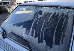 Ardahan'da otomobillerin camları dondu, bitkiler kırağı tuttu