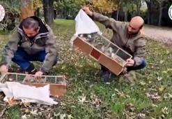 Bursa'da saka kuşu ticaretine 2,5 milyon lira ceza