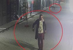 Hatay'da 4 kediyi sokak köpekleri parçaladı; olay öncesi kamerada