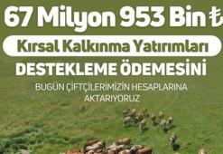 Bakanlıktan çiftçilere 67 milyon 953 bin lira destek ödemesi