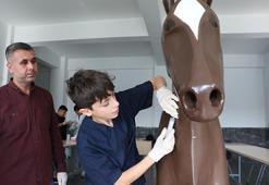 Liseliler maket modeller ile hayvan sağlığını öğreniyor