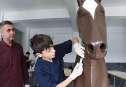 Öğrenciler maket hayvan modelleri ile hayvan sağlığını öğreniyor