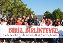 Doğaseverler 438 metre yüksekliğindeki Kayışdağı Ormanı’nda dağ çileği topladı