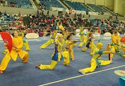 Wushu Türkiye Şampiyonası, Sakarya'da başladı