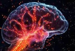 Uçuk virüsü Alzheimer'a neden olabilir