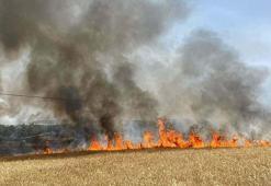 'Anız yakımı, hem orman yangınına hem erozyona yol açıyor'