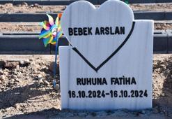 Parçalanmış bebek cesedini mezardan tilki çıkarmış