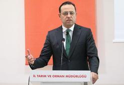 Bakan Yardımcısı Gizligider: Tarımsal gayri safi yurtiçi hasılada Avrupa'da birinciyiz