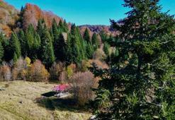 Küre Dağları Milli Parkı'nda sonbahar güzelliği