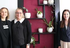 Ofis ortamındaki canlı bitkilerin, stres ve kaygı seviyesini düşürdüğü tespit edildi