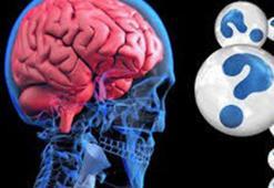 Araştırma: Anılar sadece beyinde saklanmıyor