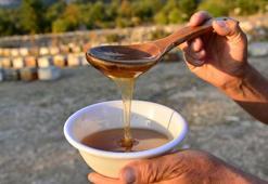 Şeker oranı en düşük bal, mermer ocağından kurtuldu