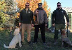 Bakanlığın eğitimli köpekleri ile trüf mantarının haritası çıkarılacak