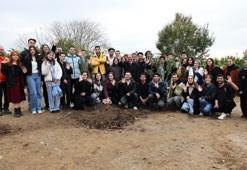 YTÜ’nün kuruluş yılına ithafen Davutpaşa Kampüsü'ne 113 ağaç dikildi